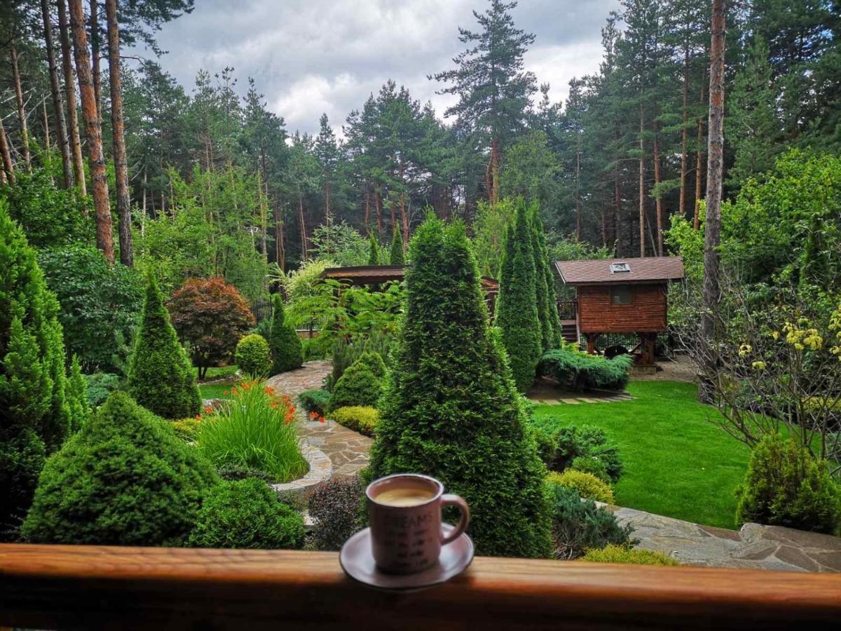 Luxury Villa Borina Zheleznitsa 외부 사진