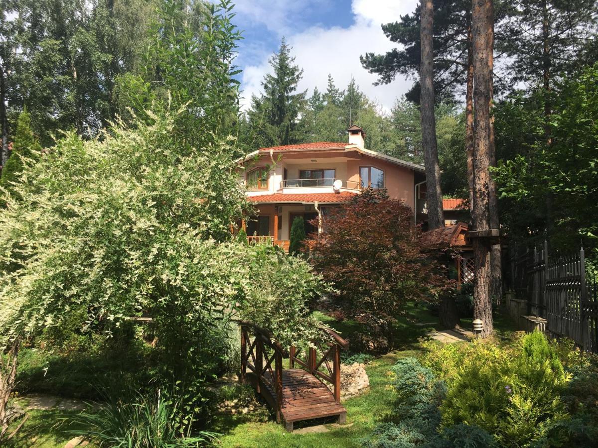 Luxury Villa Borina Zheleznitsa 외부 사진