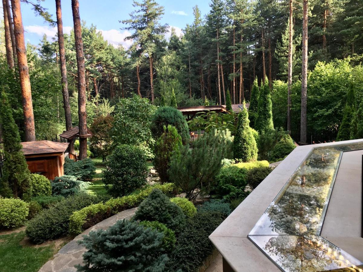 Luxury Villa Borina Zheleznitsa 외부 사진
