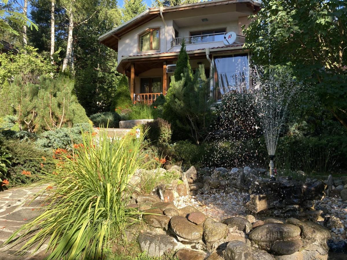 Luxury Villa Borina Zheleznitsa 외부 사진