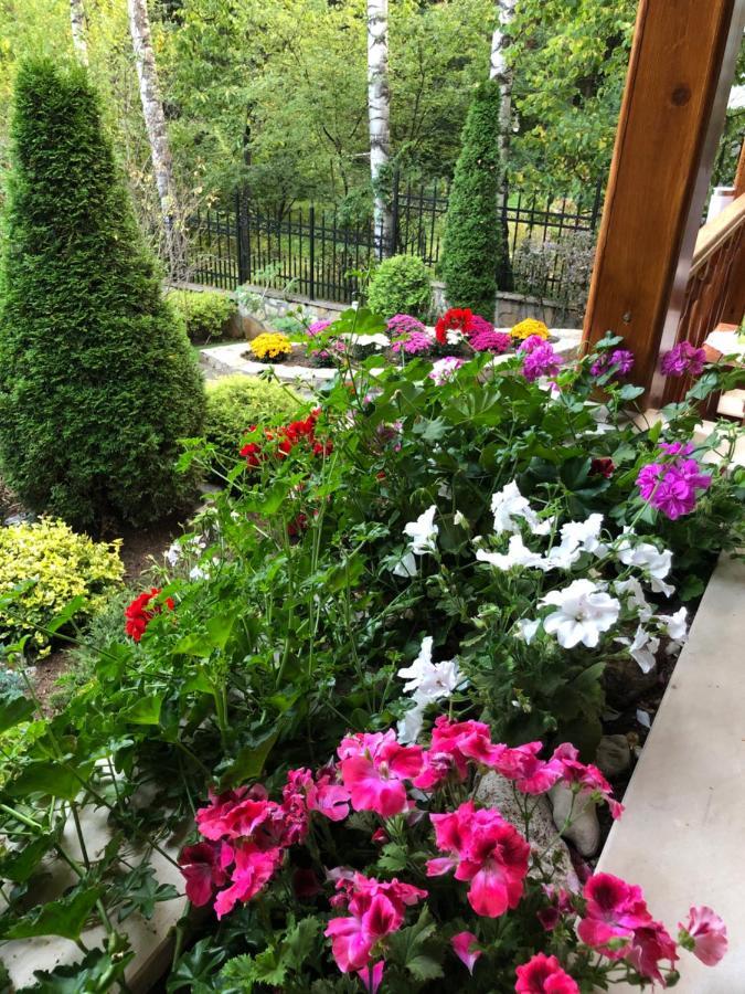 Luxury Villa Borina Zheleznitsa 외부 사진