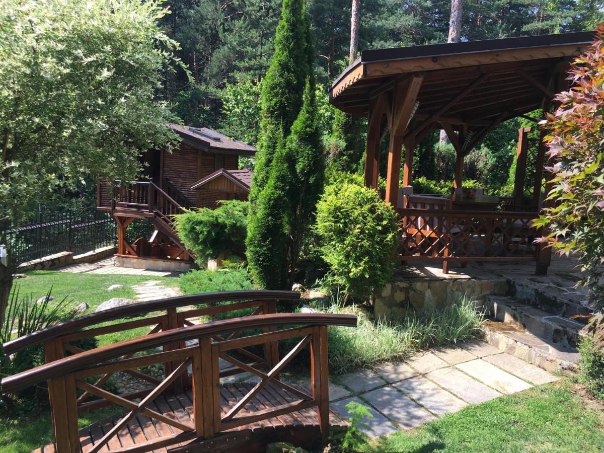 Luxury Villa Borina Zheleznitsa 외부 사진