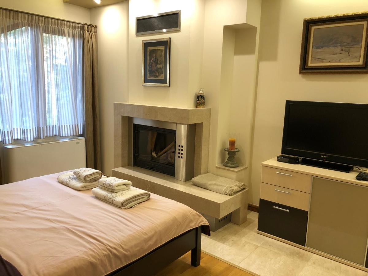 Luxury Villa Borina Zheleznitsa 외부 사진