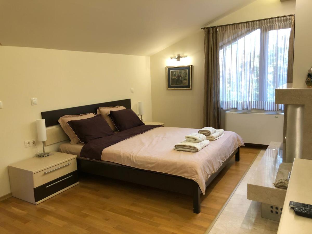 Luxury Villa Borina Zheleznitsa 외부 사진