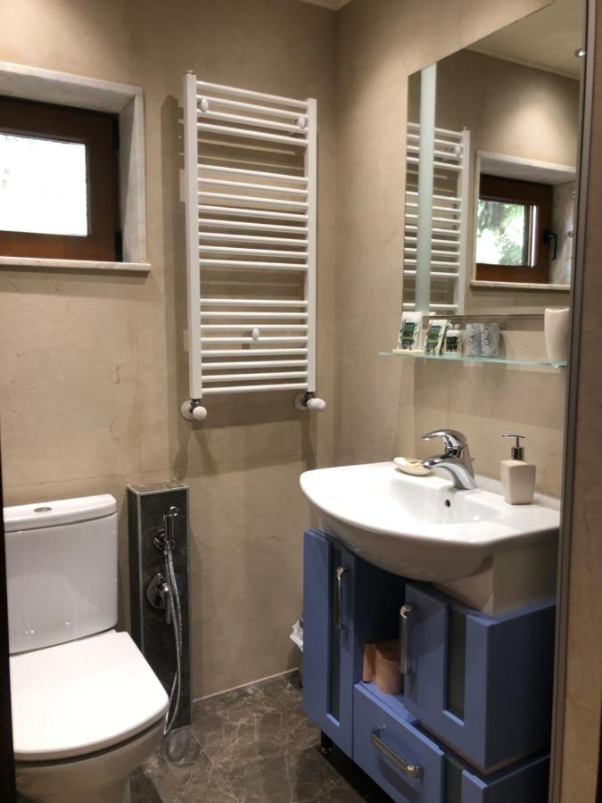 Luxury Villa Borina Zheleznitsa 외부 사진