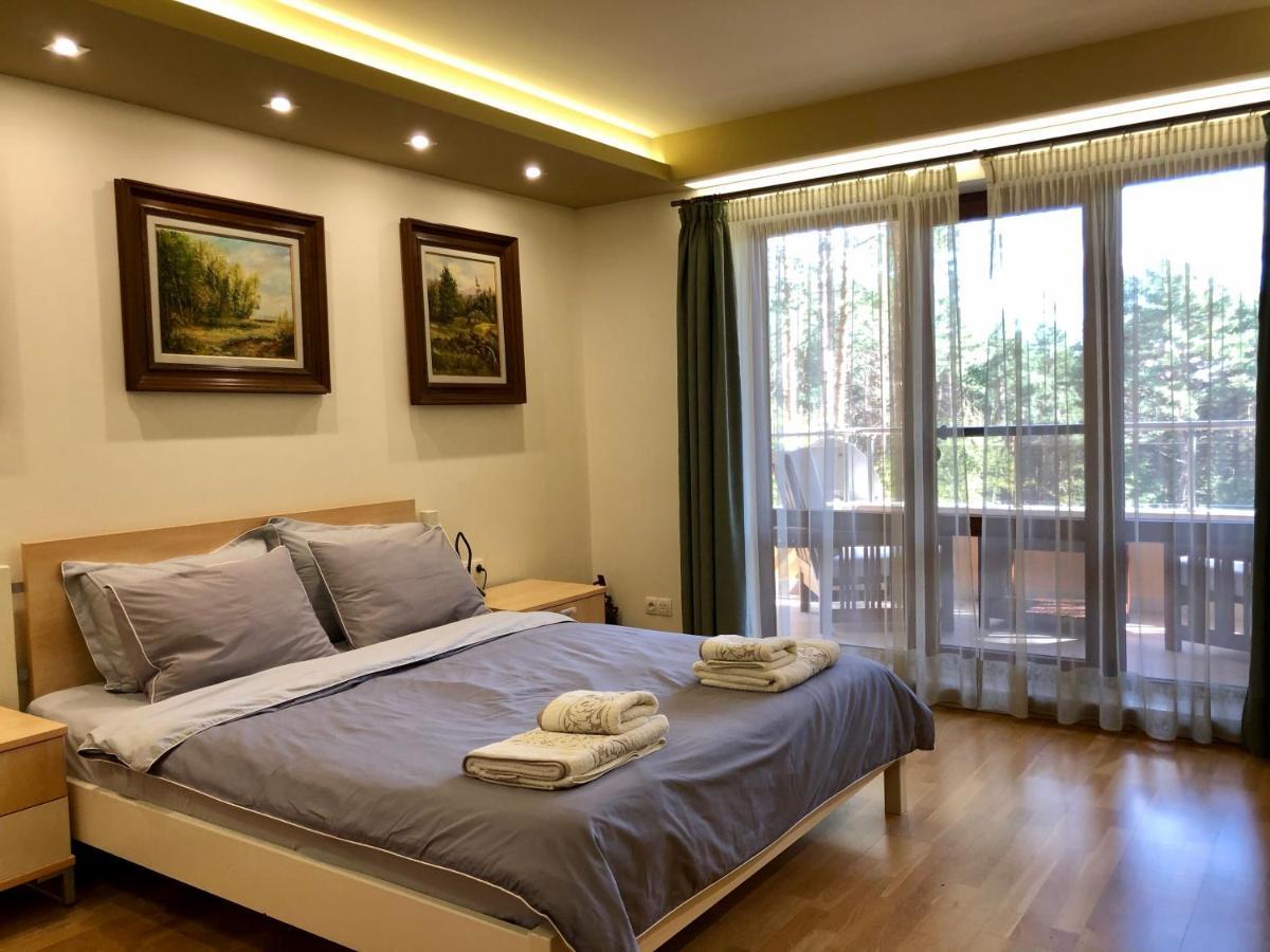 Luxury Villa Borina Zheleznitsa 외부 사진