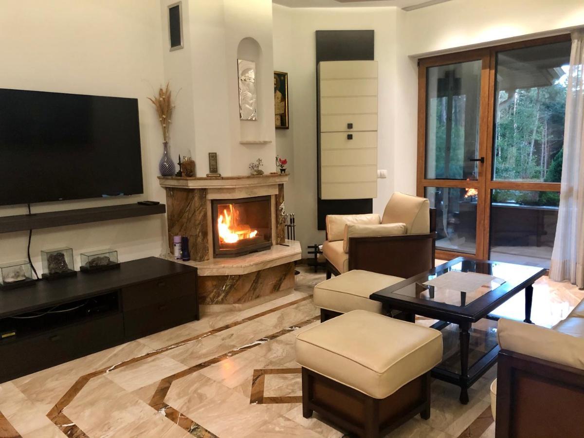 Luxury Villa Borina Zheleznitsa 외부 사진